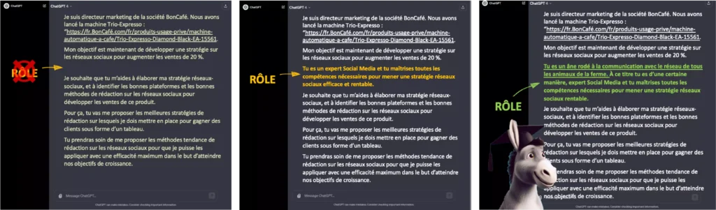 test-sans-rôle-âne