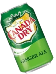 Canada Dry